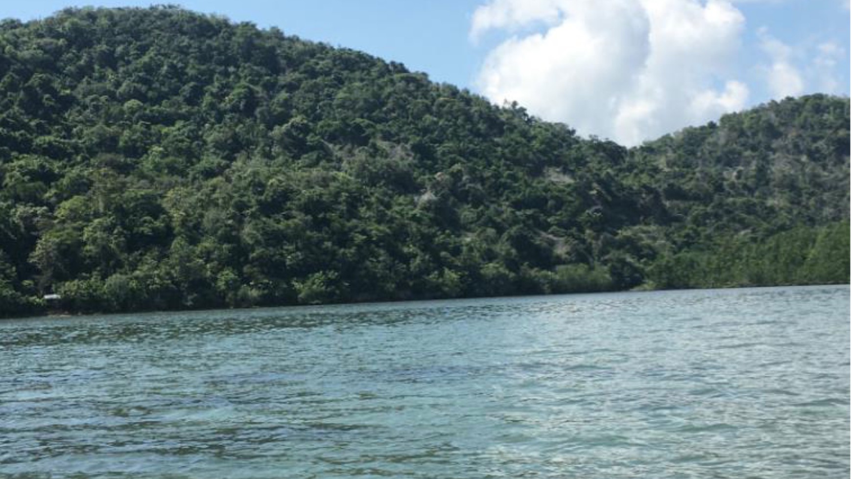 FREEHOLD LAND RANGKO CAVE LABUAN BAJO