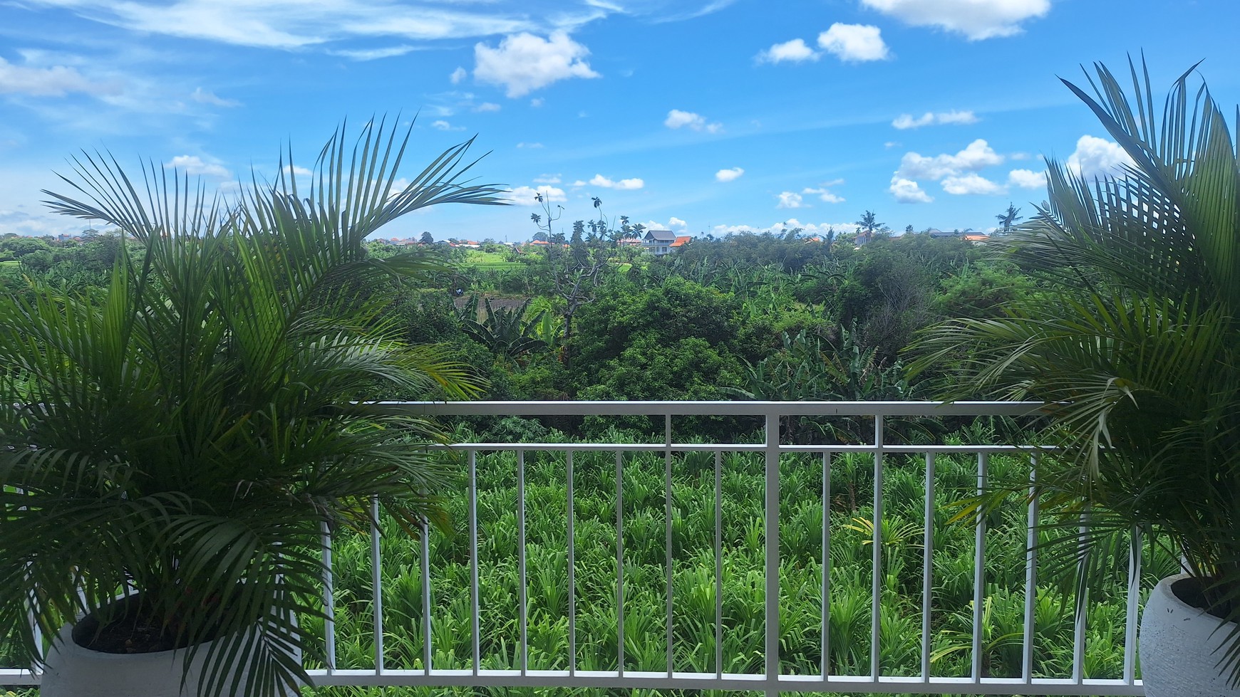 For Rent Yearly - Modern villa fully furnished area Canggu