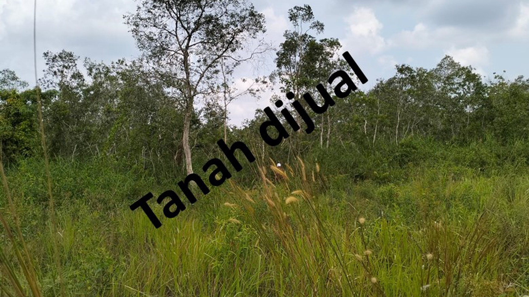 Tanah murah di Talang Keramat