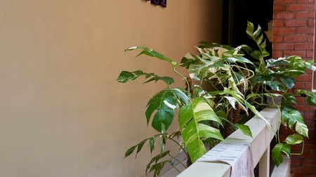 Dijual  Rumah  Cantik Terjangkau Kemayoran