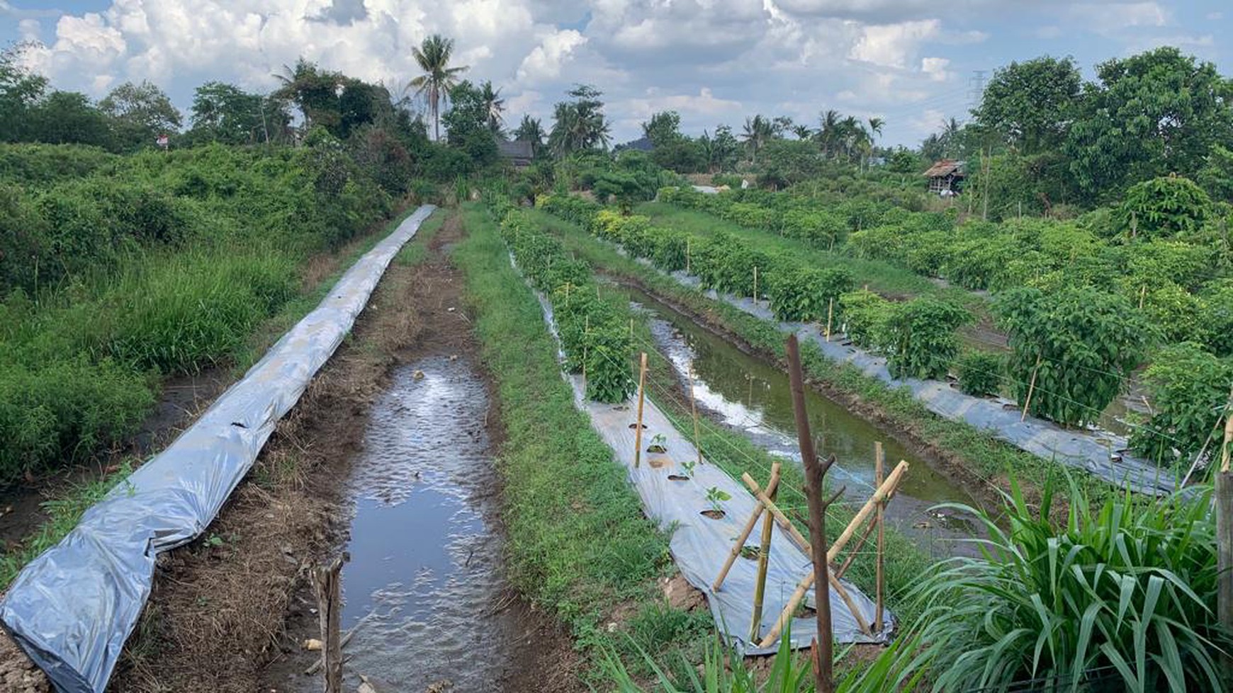 Tanah dijual cepat di Talang jambe