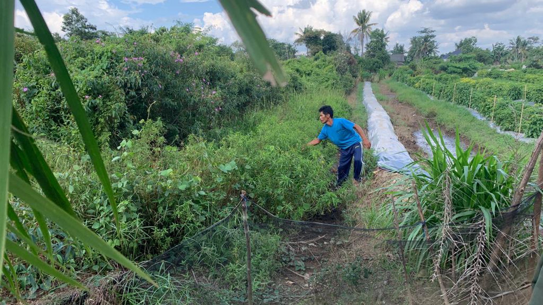 Tanah dijual cepat di Talang jambe