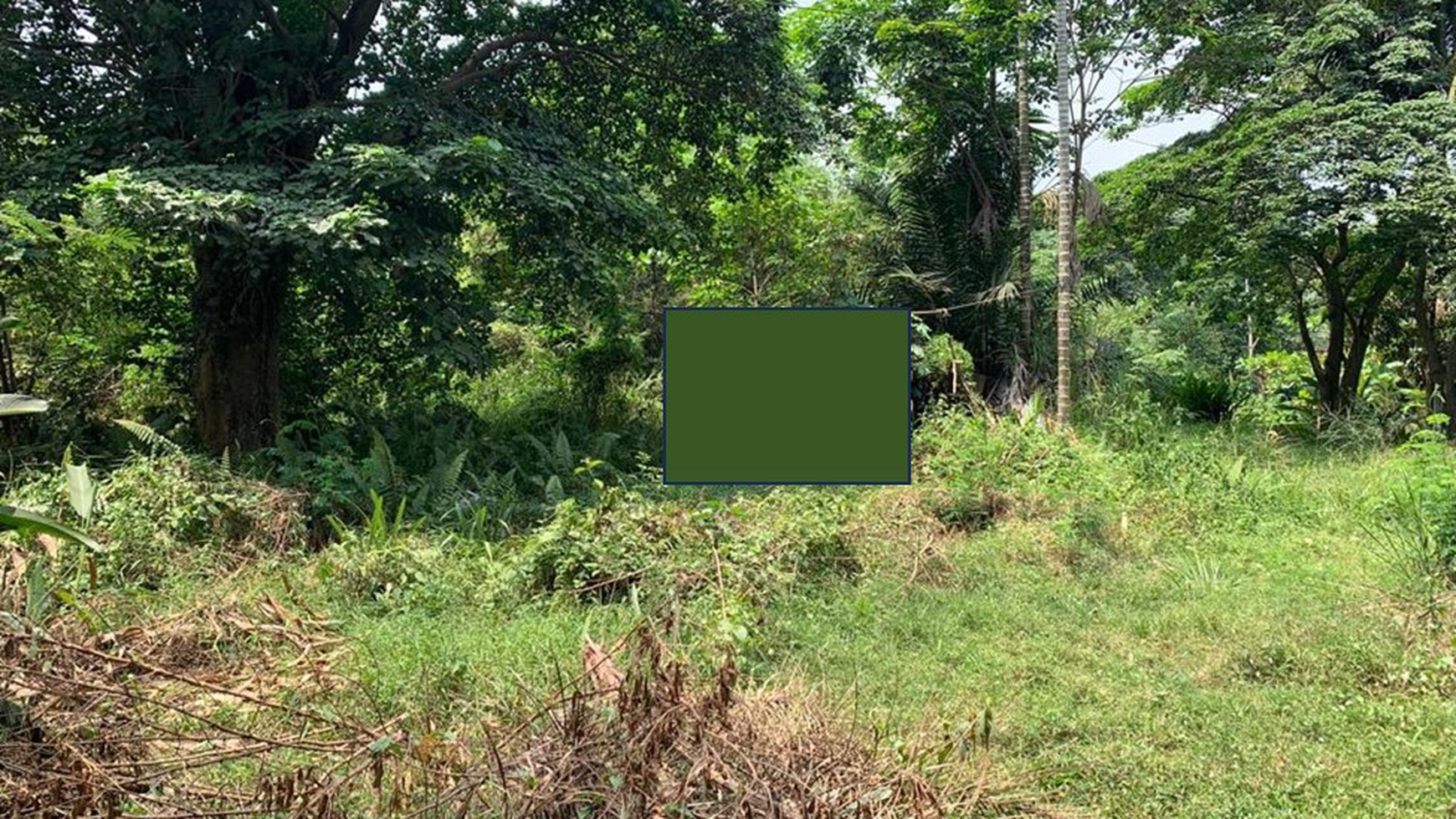 Tanah dijual cepat di Tanjung Api2 Kebun Bunga