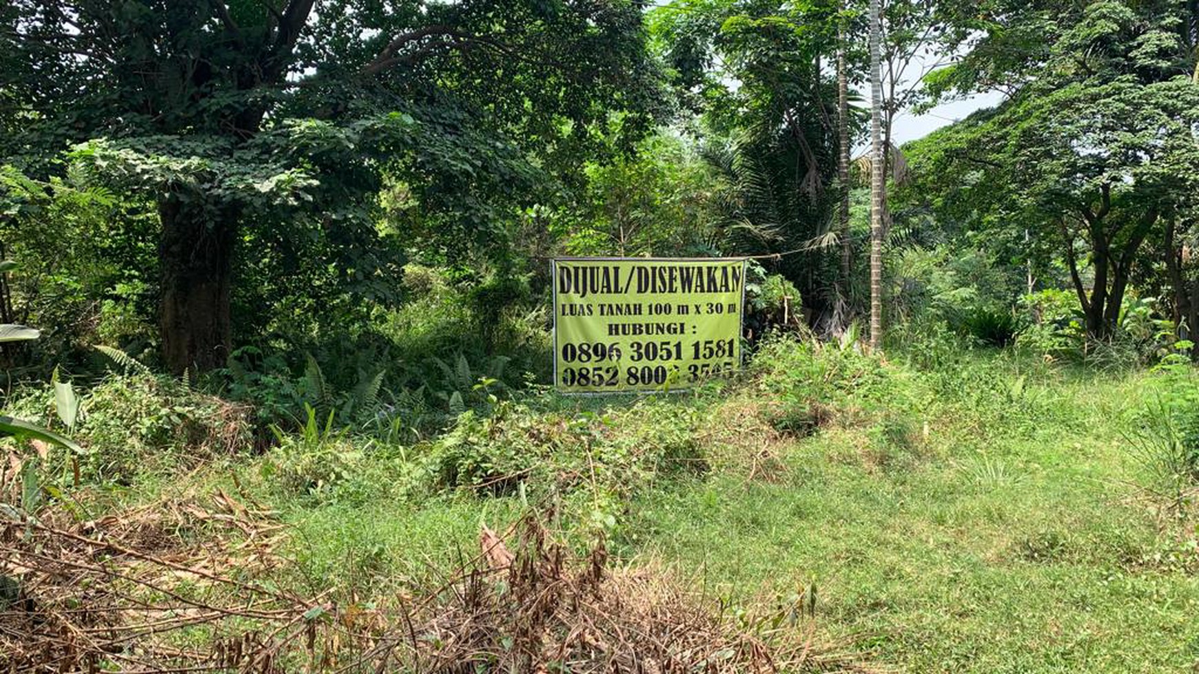 Tanah dijual cepat di Tanjung Api2 Kebun Bunga