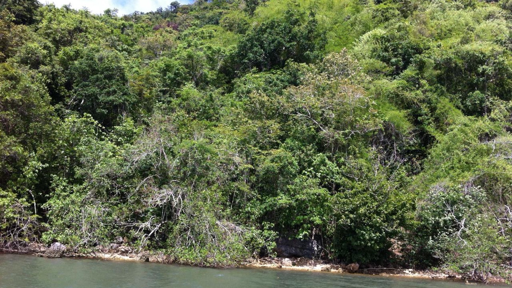 Freehold Land Rangko Cave Labuan Bajo 