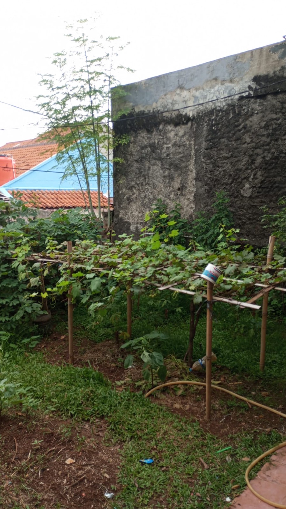 Rumah Hitung Tanah di Pondok Pucung, Tang Sel #DGMC