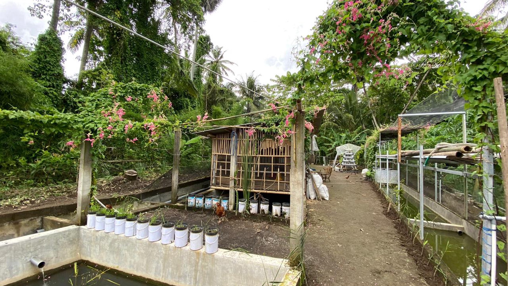 Freehold - Expansive Residence and Warehouse Compound in Blahbatuh, Gianyar