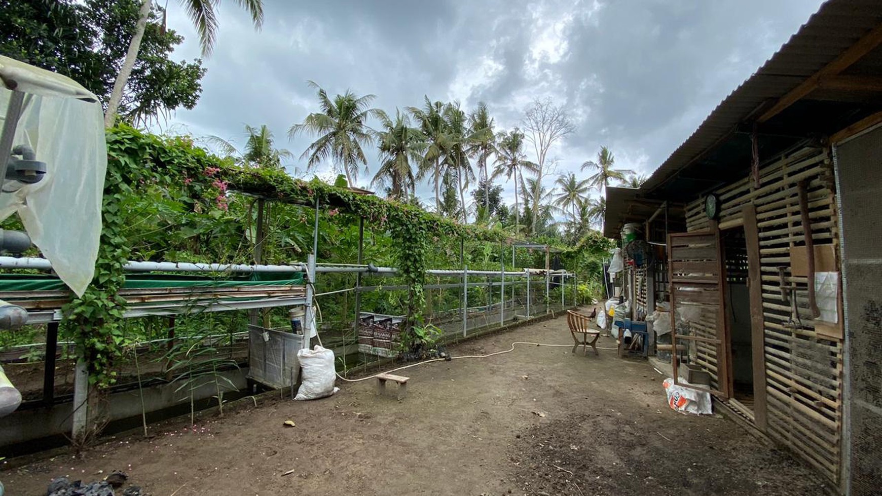 Freehold - Expansive Residence and Warehouse Compound in Blahbatuh, Gianyar