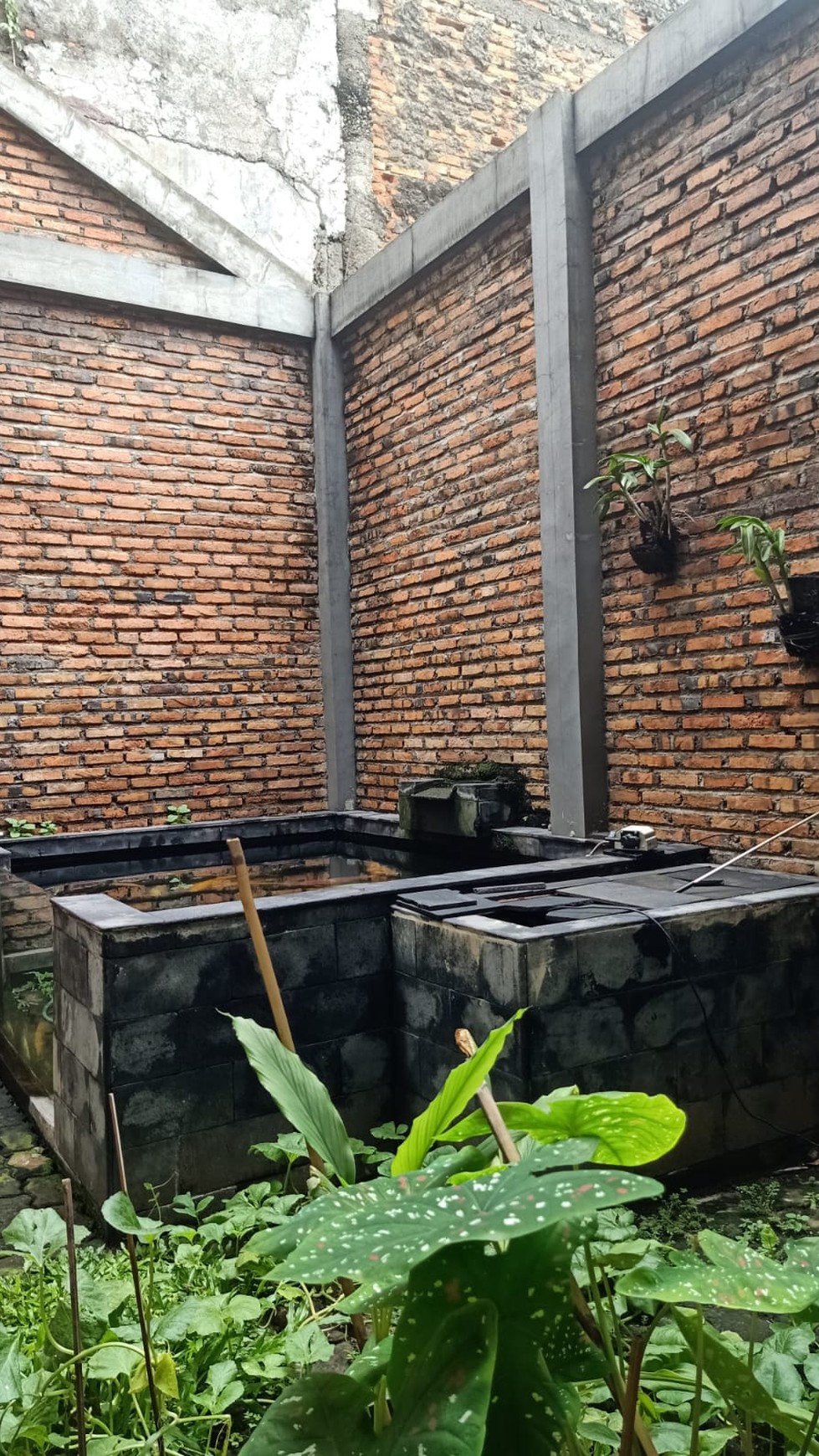 DI JUAL - RUMAH ASRI DAN NYAMAN DI JAKARTA TIMUR