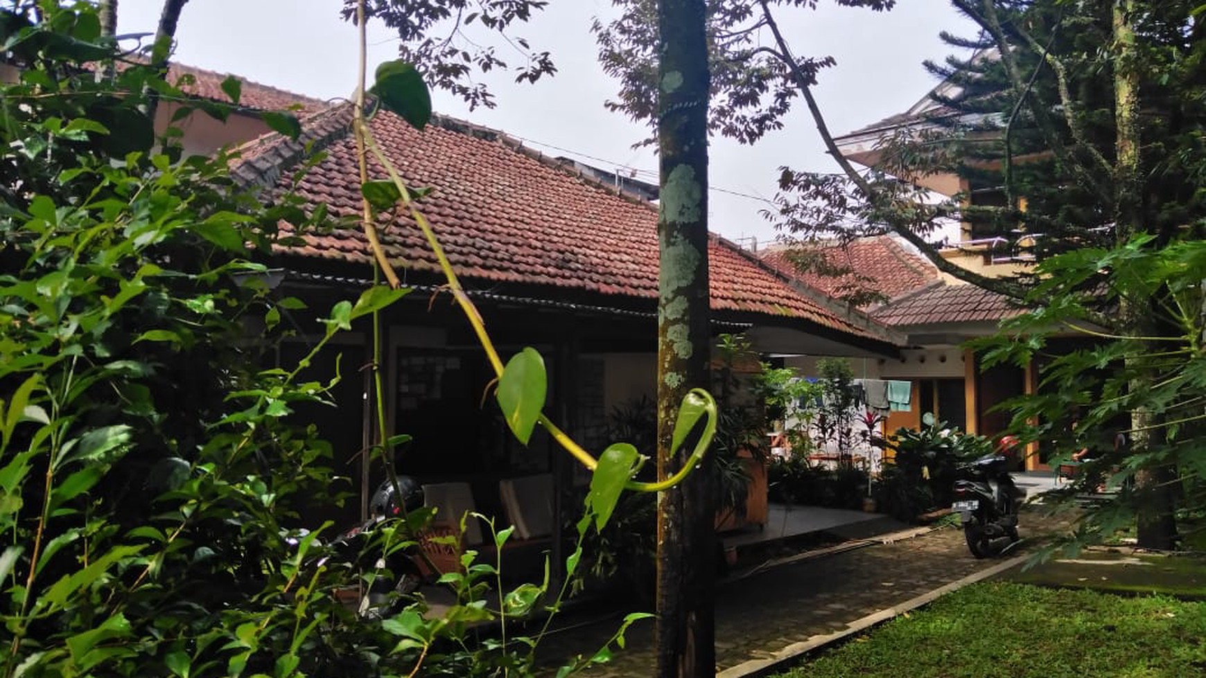 Rumah di Gg Siliwangi Cocok untuk usaha Kostan (depan Coffee Tofee)