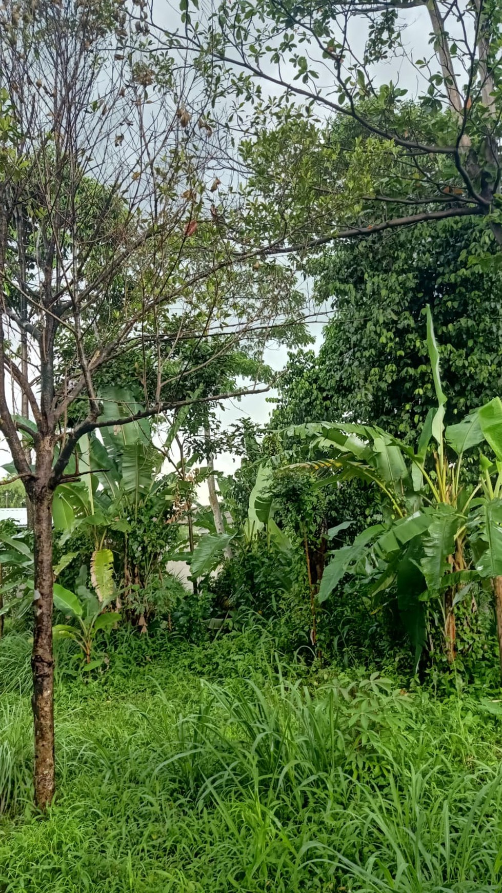 DIJUAL  LAHAN - DI AREA PALING AMAN