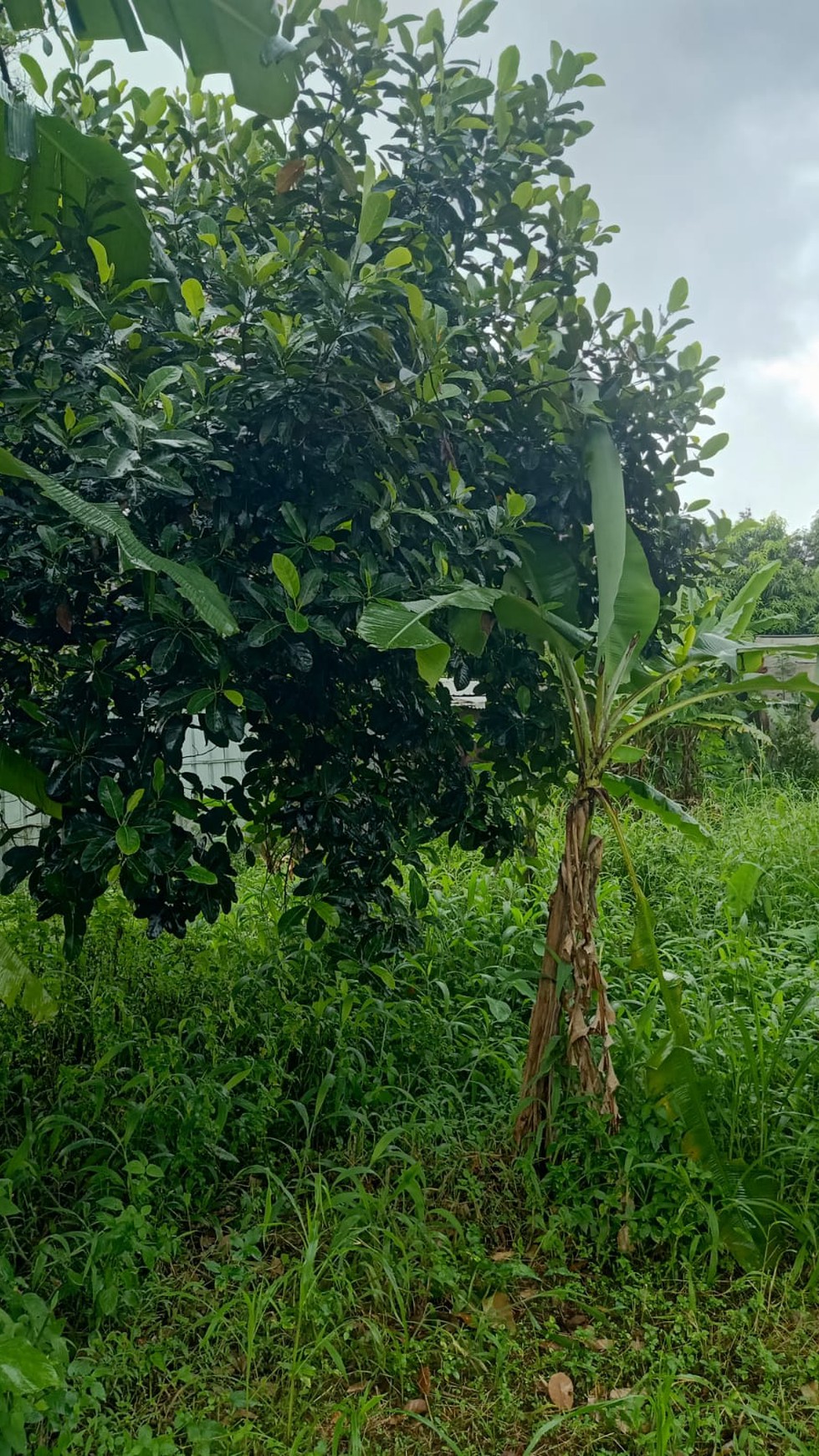 DIJUAL  LAHAN - DI AREA PALING AMAN