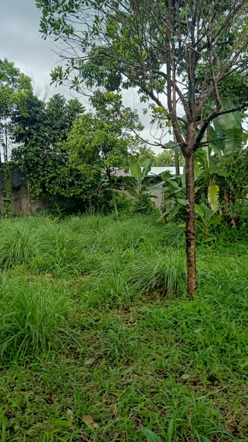 DIJUAL  LAHAN - DI AREA PALING AMAN