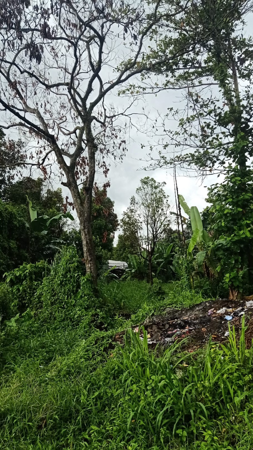 DIJUAL  LAHAN - DI AREA PALING AMAN