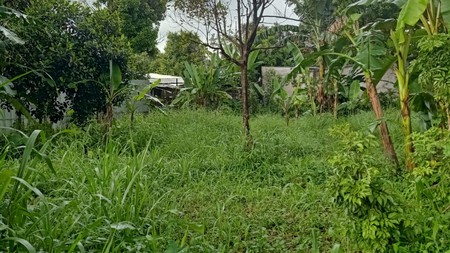 DIJUAL  LAHAN - DI AREA PALING AMAN