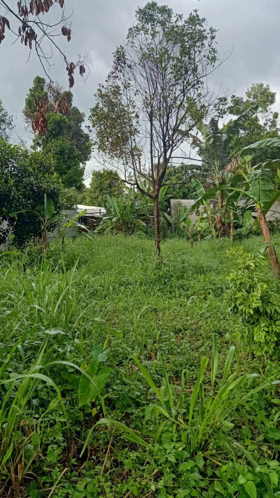 DIJUAL  LAHAN - DI AREA PALING AMAN