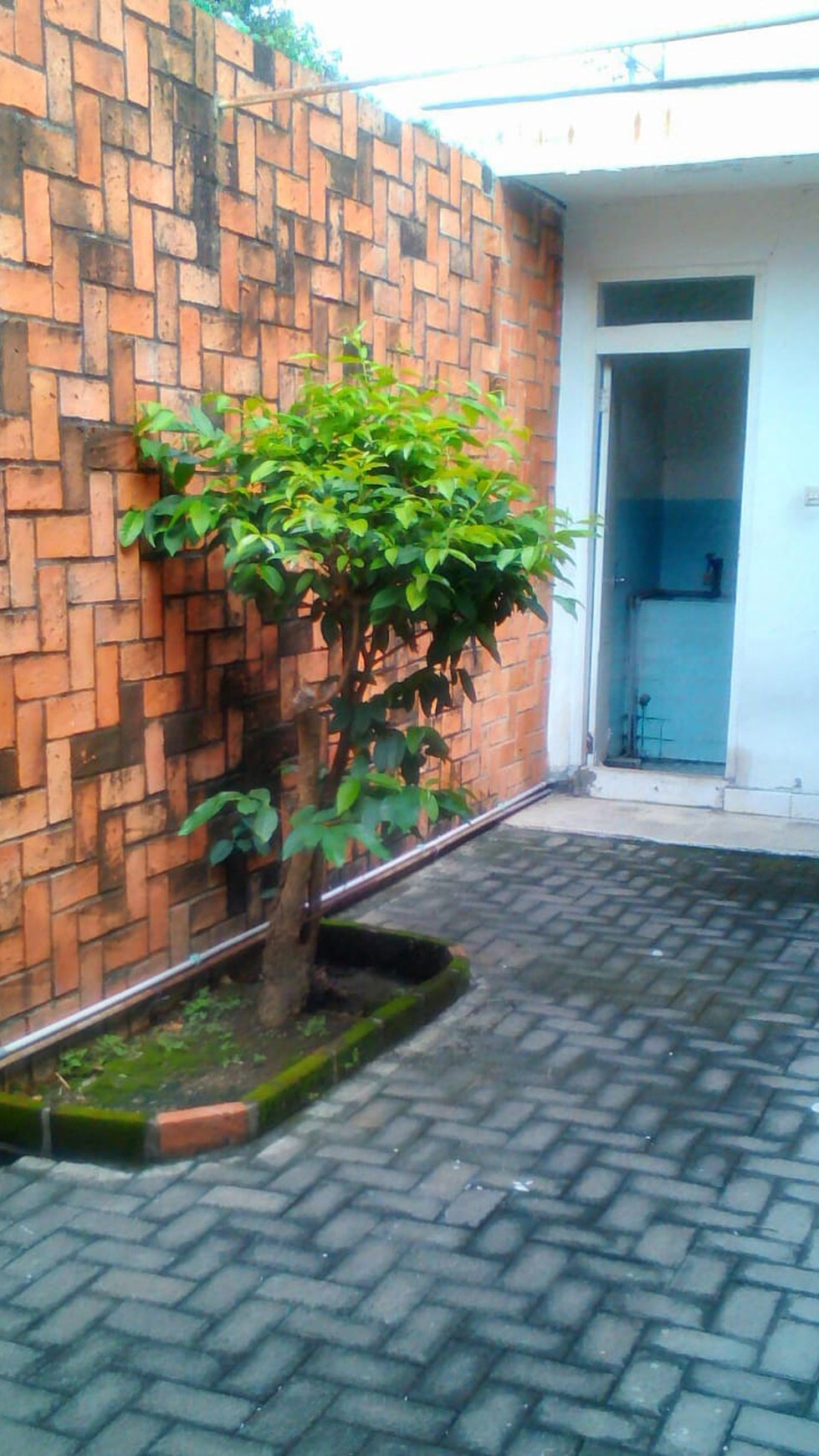 Dijual Rumah Komersial Jl. Cipunegara Surabaya Pusat.