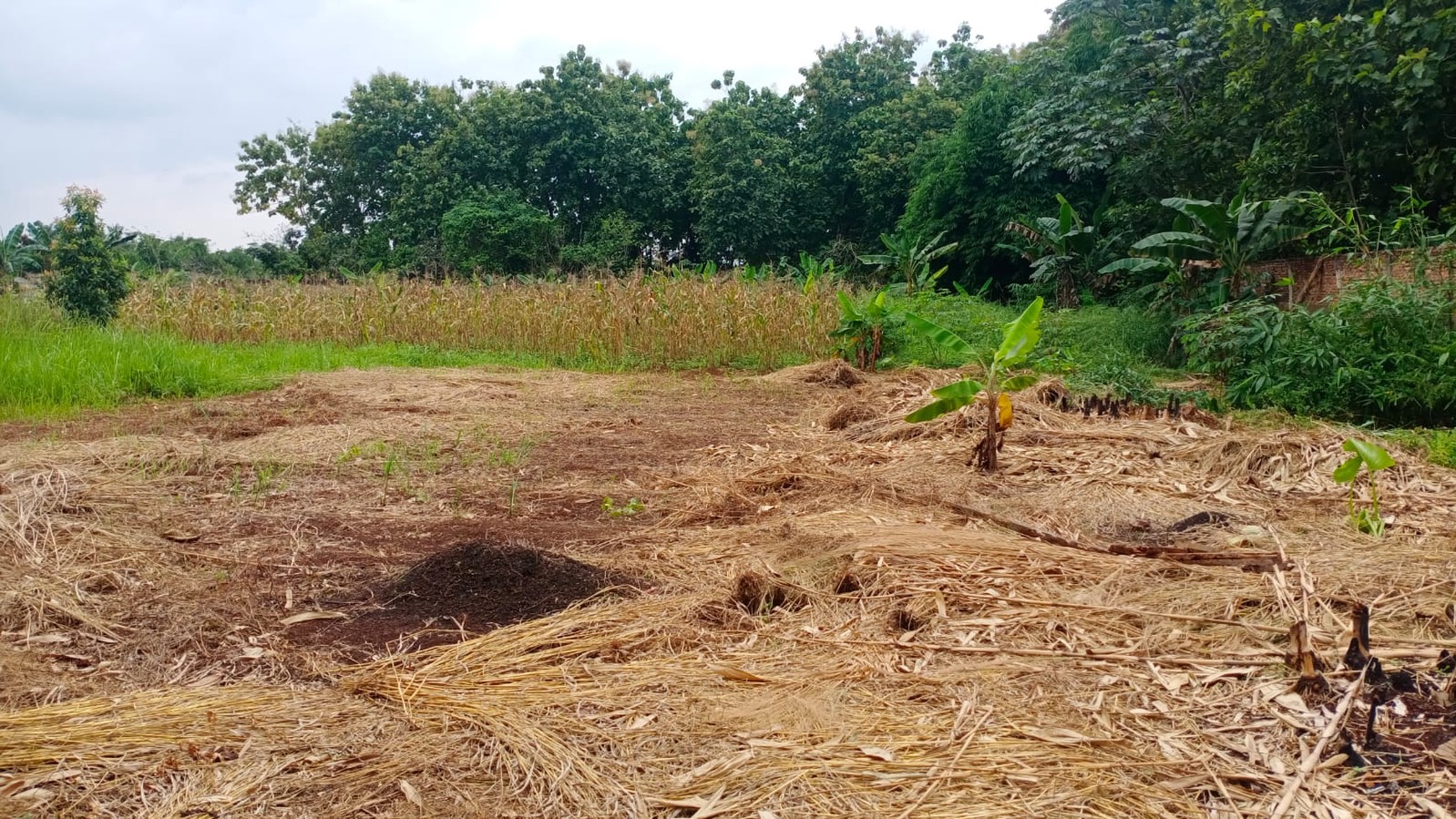 KAVLING SANGAT PROSPEKTIF DI DEKAT SERPONG GARDEN CISAUK