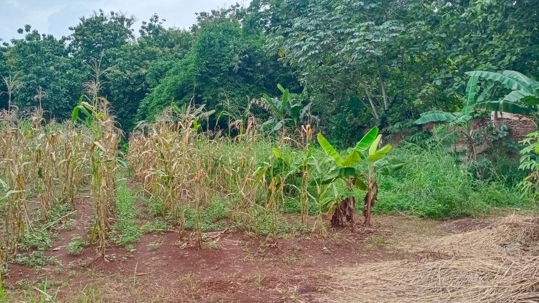 KAVLING SANGAT PROSPEKTIF DI DEKAT SERPONG GARDEN CISAUK