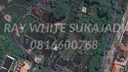 Tanah / Kavling Luas di Desa Sukajaya, Cianjur