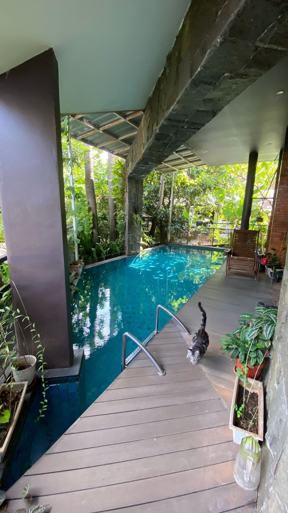 Rumah Mewah, Cantik dengan Swimming Pool di Bintaro Sektor 9