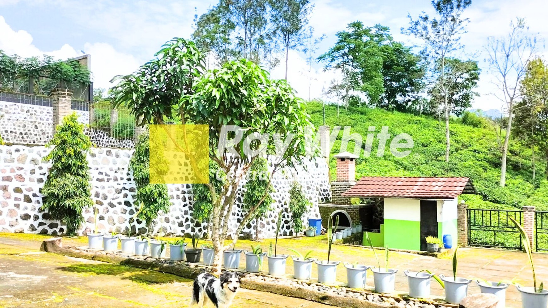 Villa Asri dan Sejuk di Kawasan Ciwidey