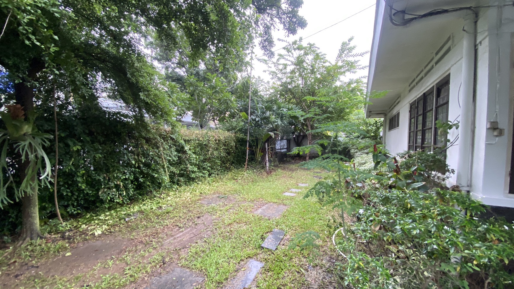 Beautiful and cozy house at menteng, jakarta pusat