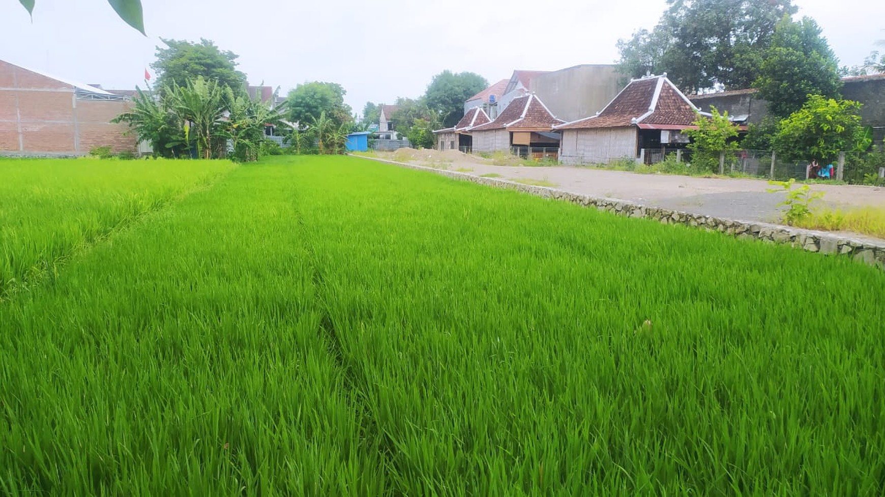 Tanah SHM Luas 974 Meter Persegi Lokasi Tengah Kota di Umbulharjo 