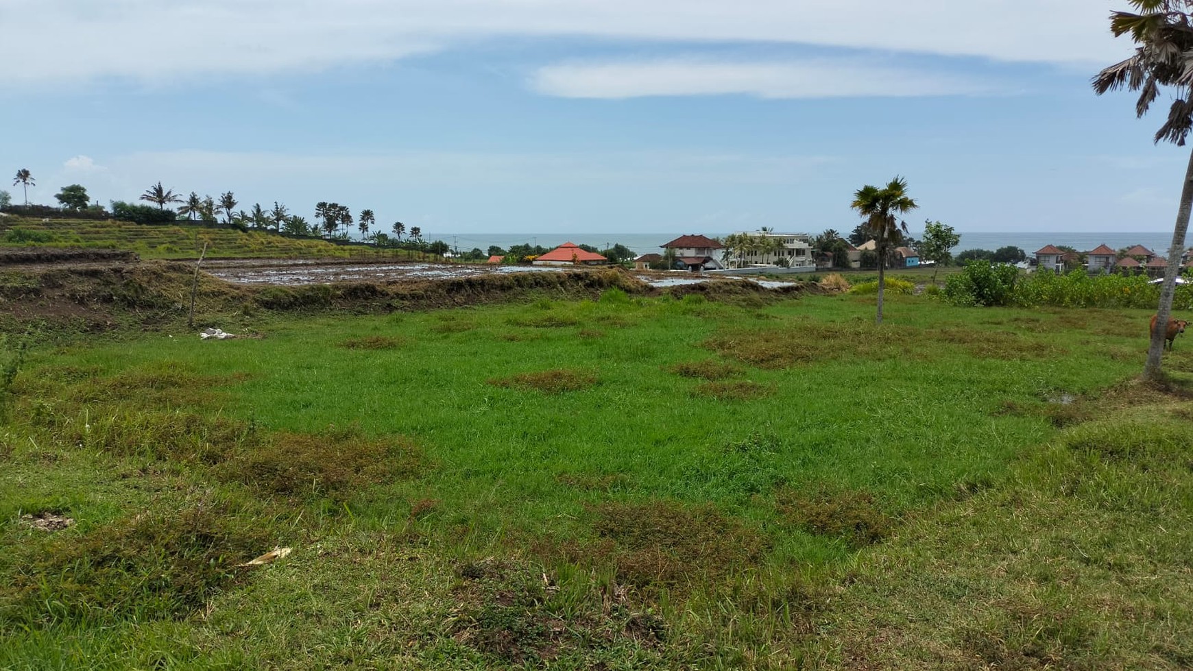 For Sale Freehold - Land in Medewi , Jembrana 