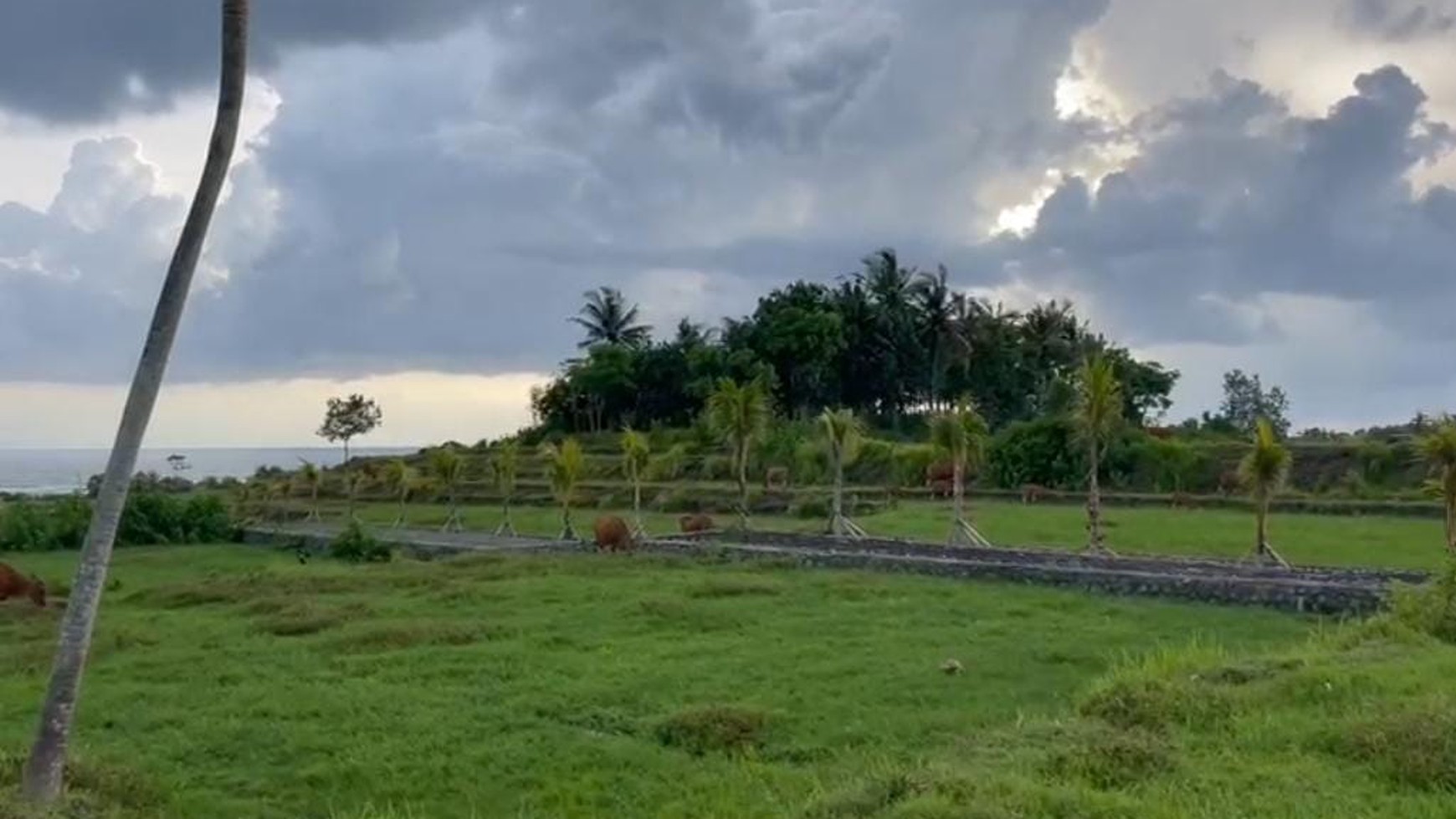 For Sale Freehold - Land in Medewi , Jembrana 