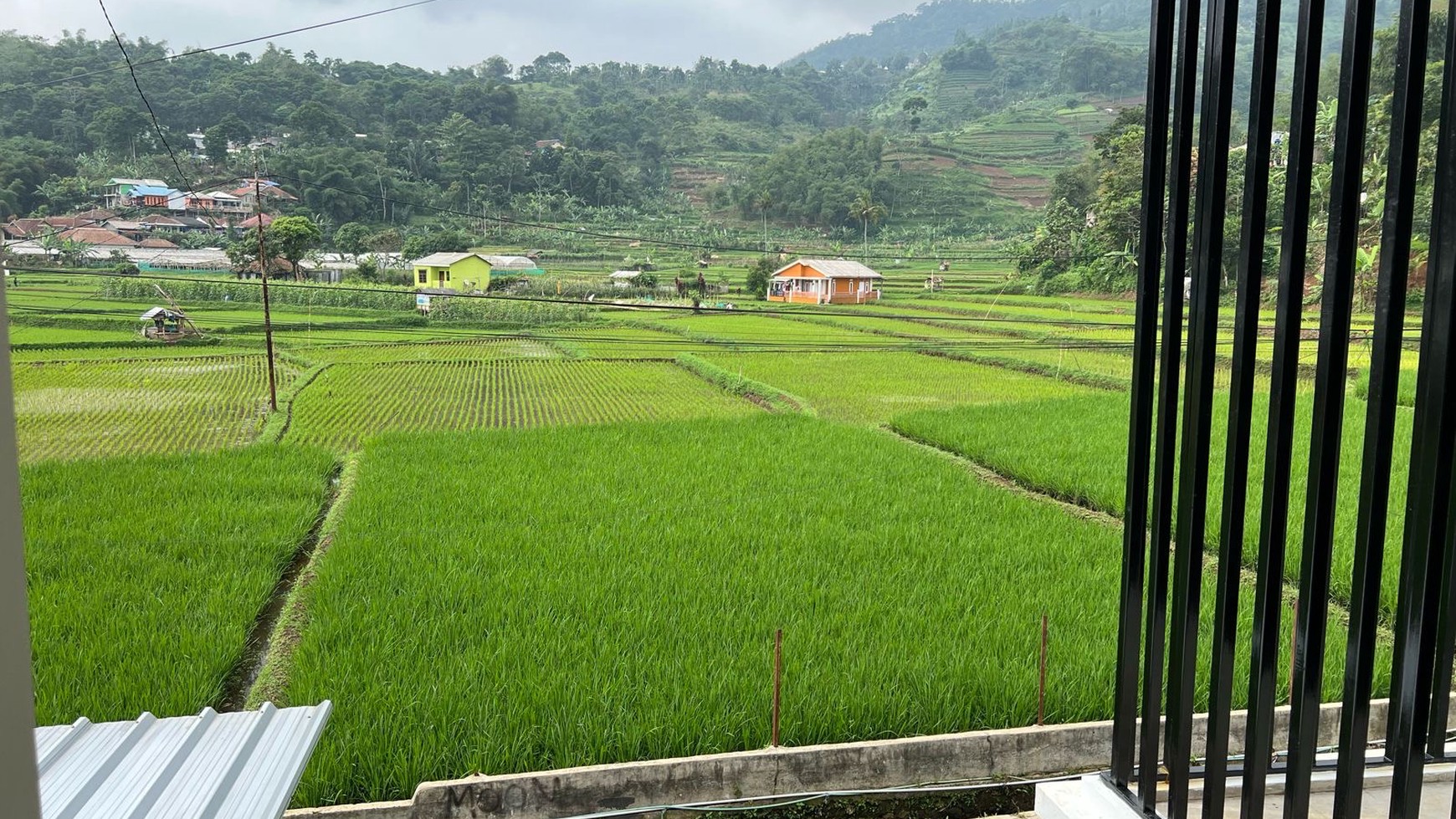 Rumah ASRi Pemandangan Sawah di Cipanas Puncak