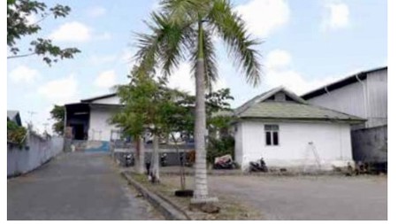 1021. Dijual murah Gudang di Jl DI Panjaitan Lepo-Lepo, Kendari Sulawesi Tenggara