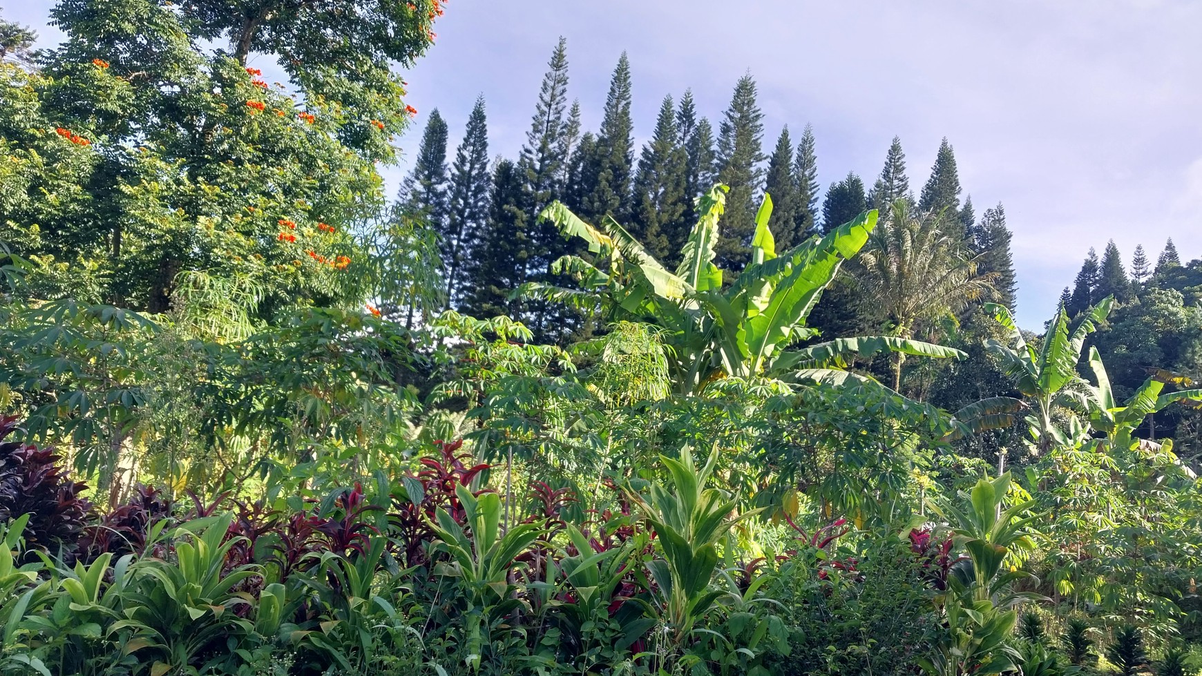 Rumah cantik yang dikelilingi taman yang luas dengan pemandangan alam yang sangat indah 