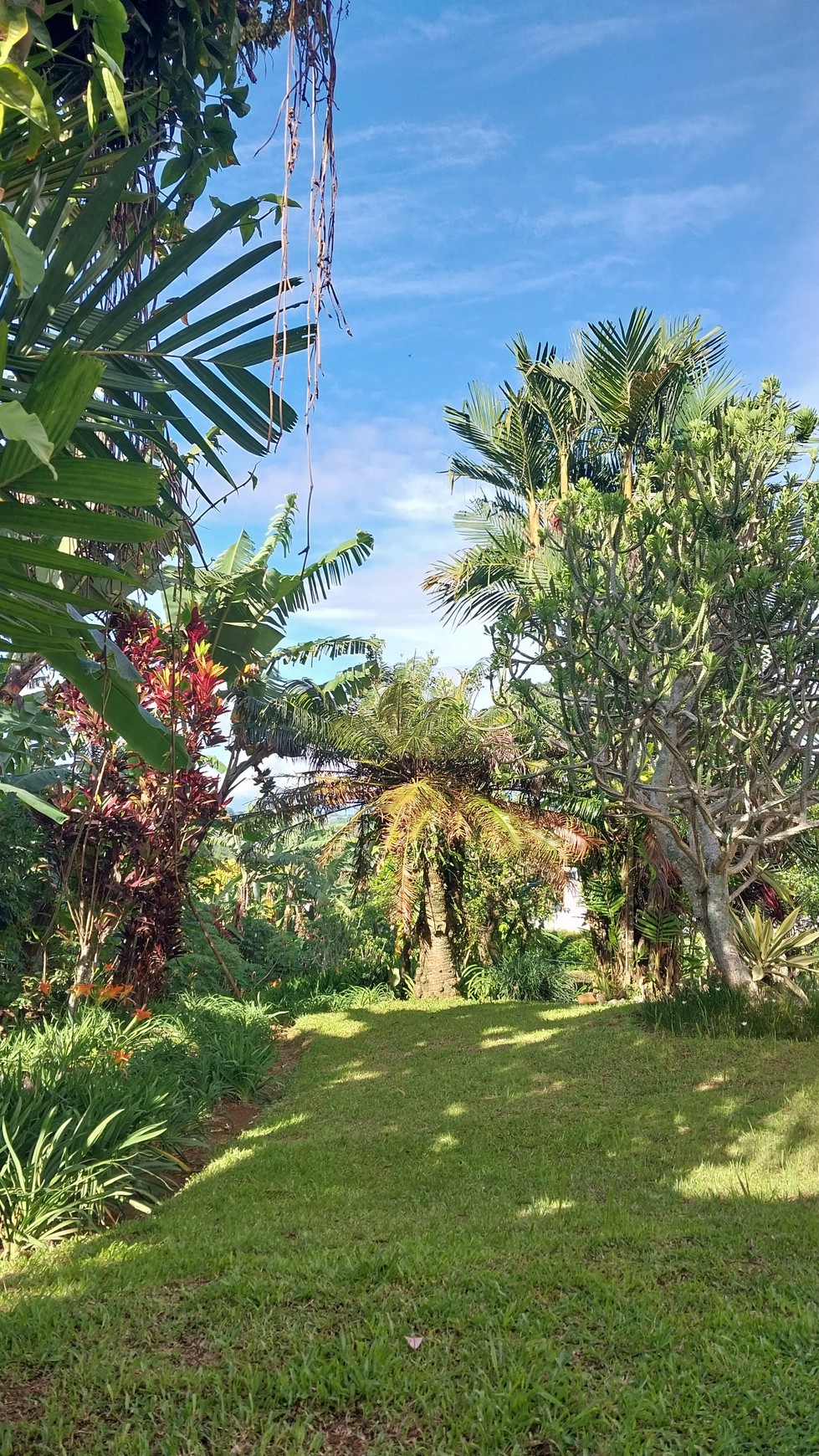 Rumah cantik yang dikelilingi taman yang luas dengan pemandangan alam yang sangat indah 