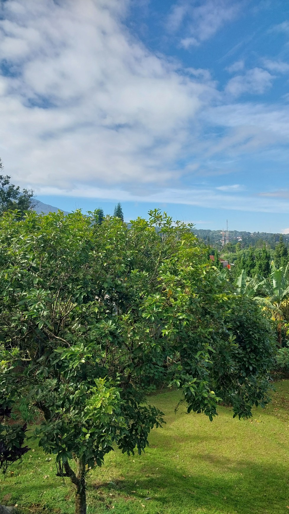 Rumah cantik yang dikelilingi taman yang luas dengan pemandangan alam yang sangat indah 