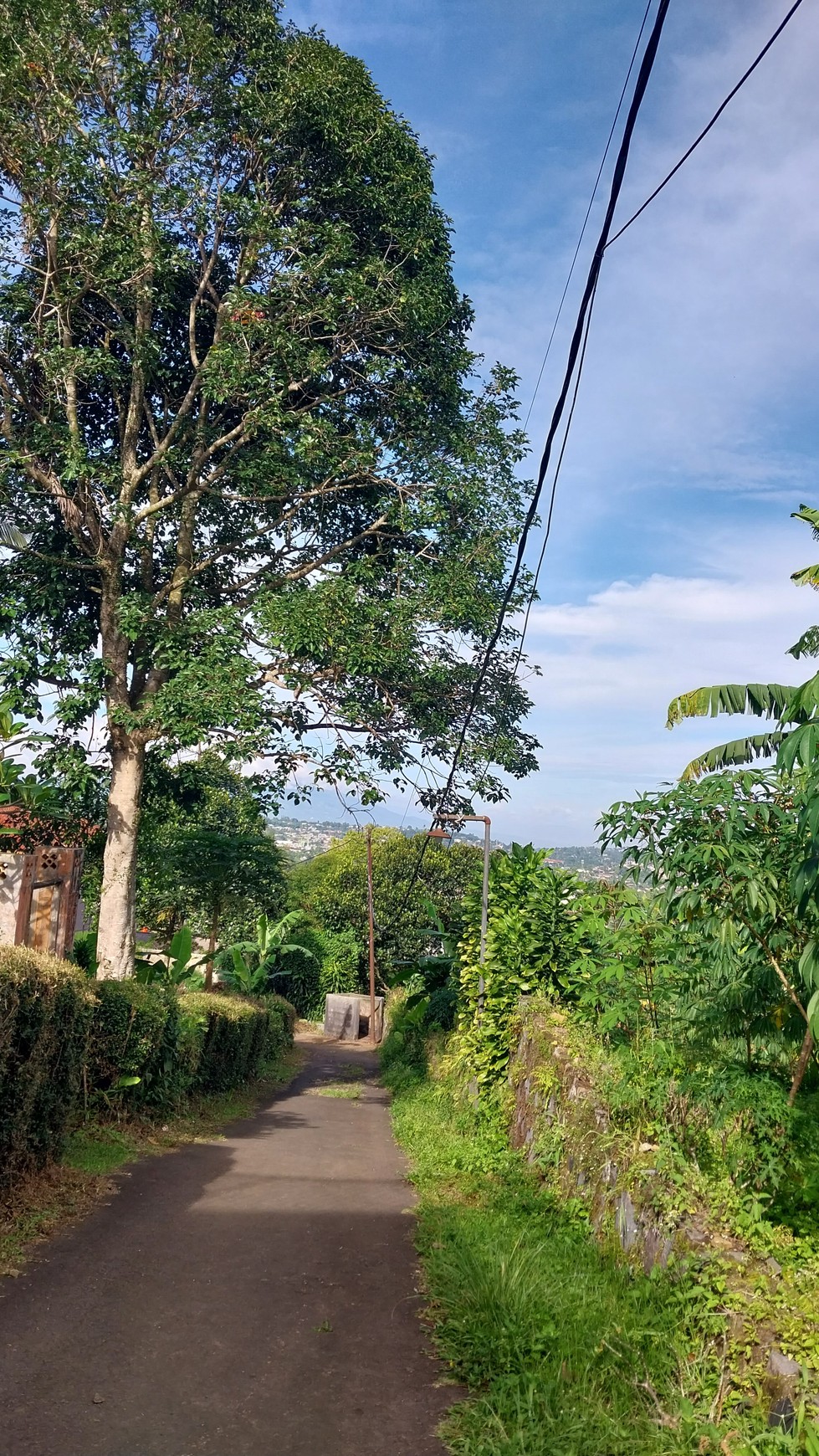 Rumah cantik yang dikelilingi taman yang luas dengan pemandangan alam yang sangat indah 