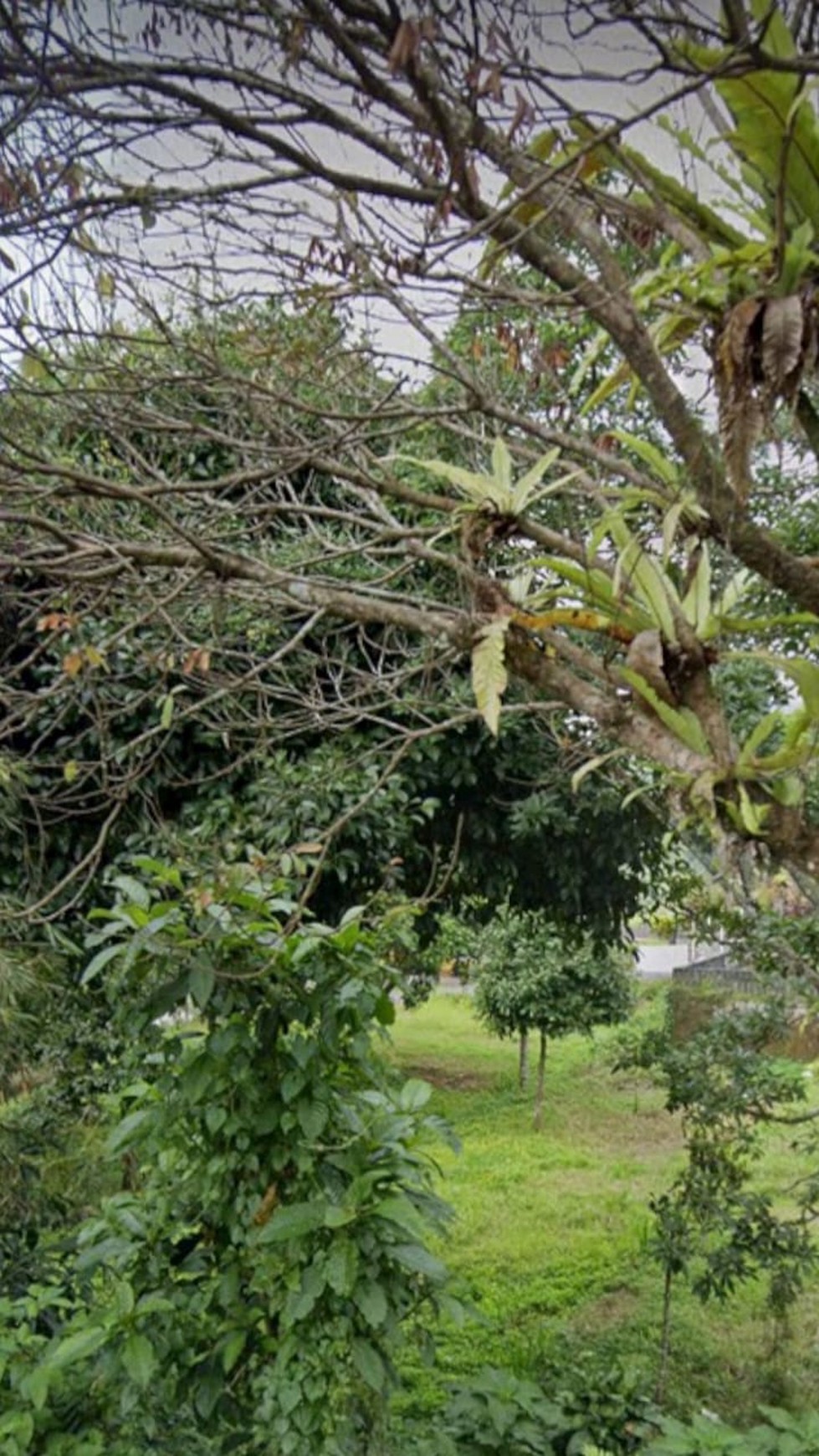 Villa Baturaden Purwokerto, Hitung Tanah, Lokasi & View Terbaik