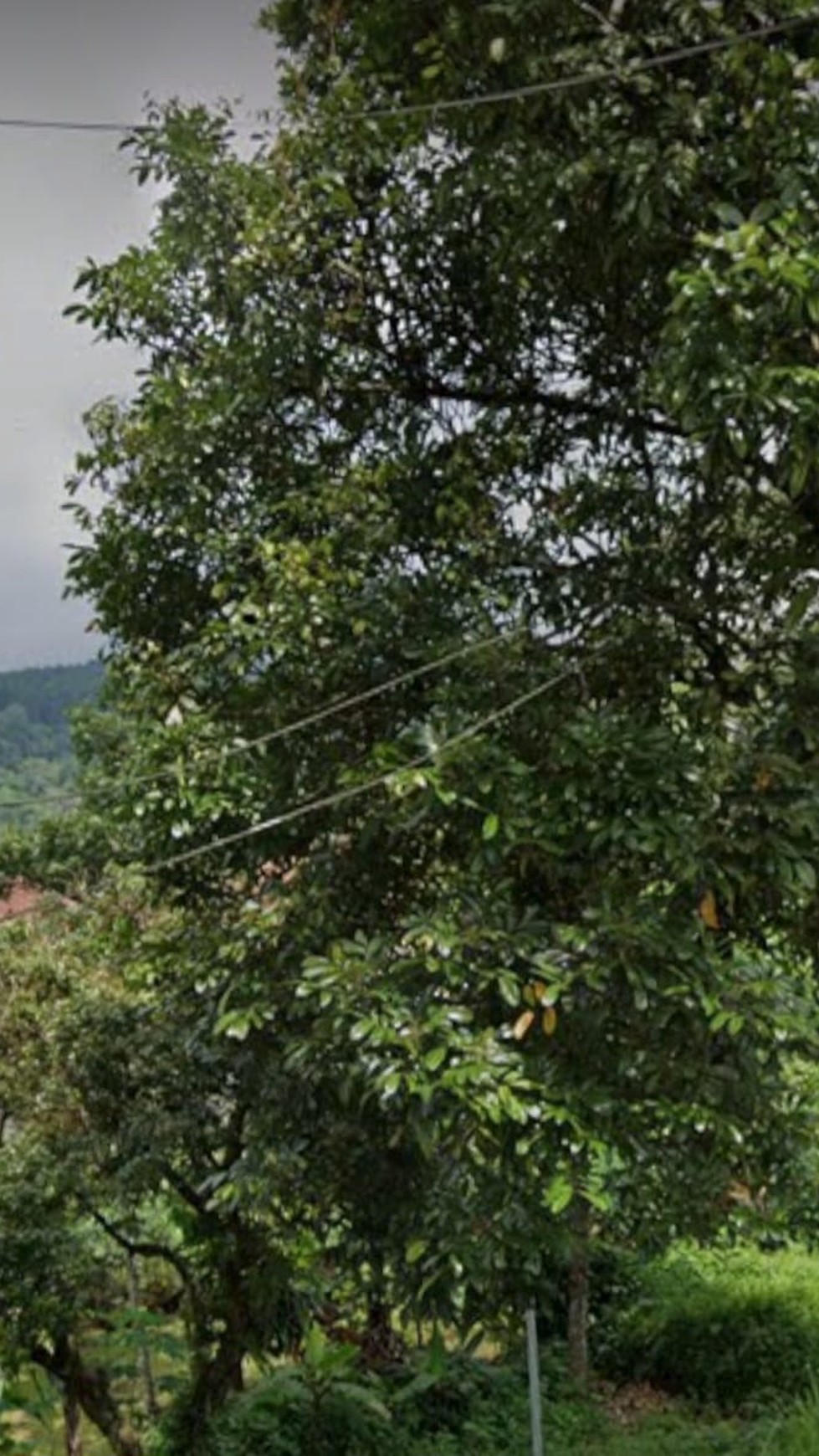 Villa Baturaden Purwokerto, Hitung Tanah, Lokasi & View Terbaik