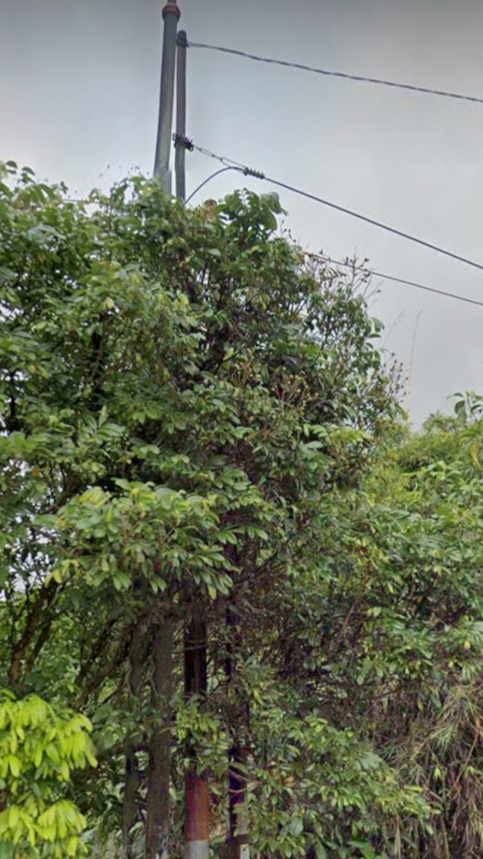 Villa Baturaden Purwokerto, Hitung Tanah, Lokasi & View Terbaik