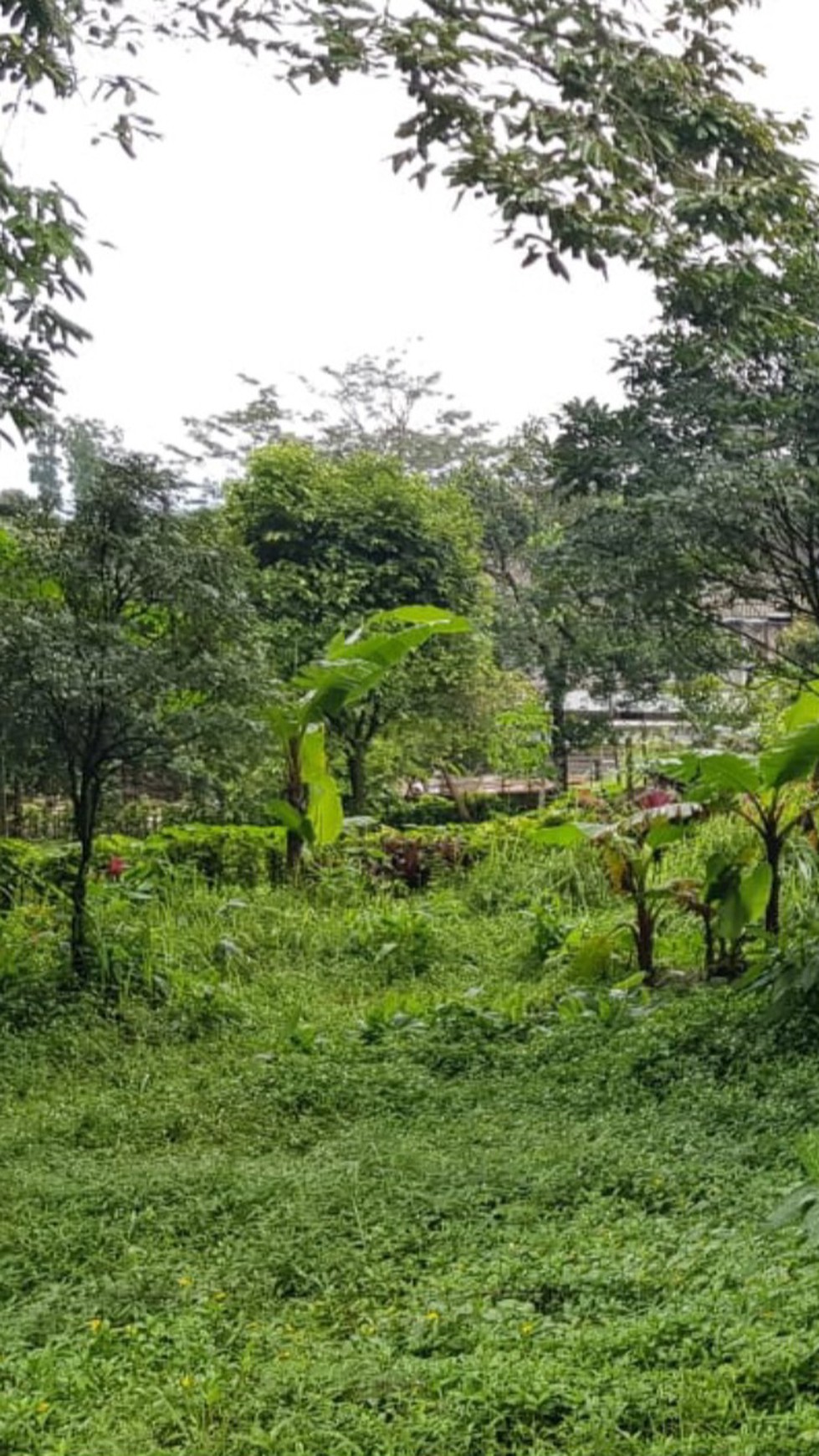 Villa Baturaden Purwokerto, Hitung Tanah, Lokasi & View Terbaik