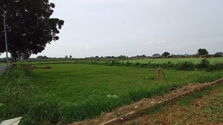 Dijual Tanah Murah Pinggir Jalan Raya Di Kp. Sawah 