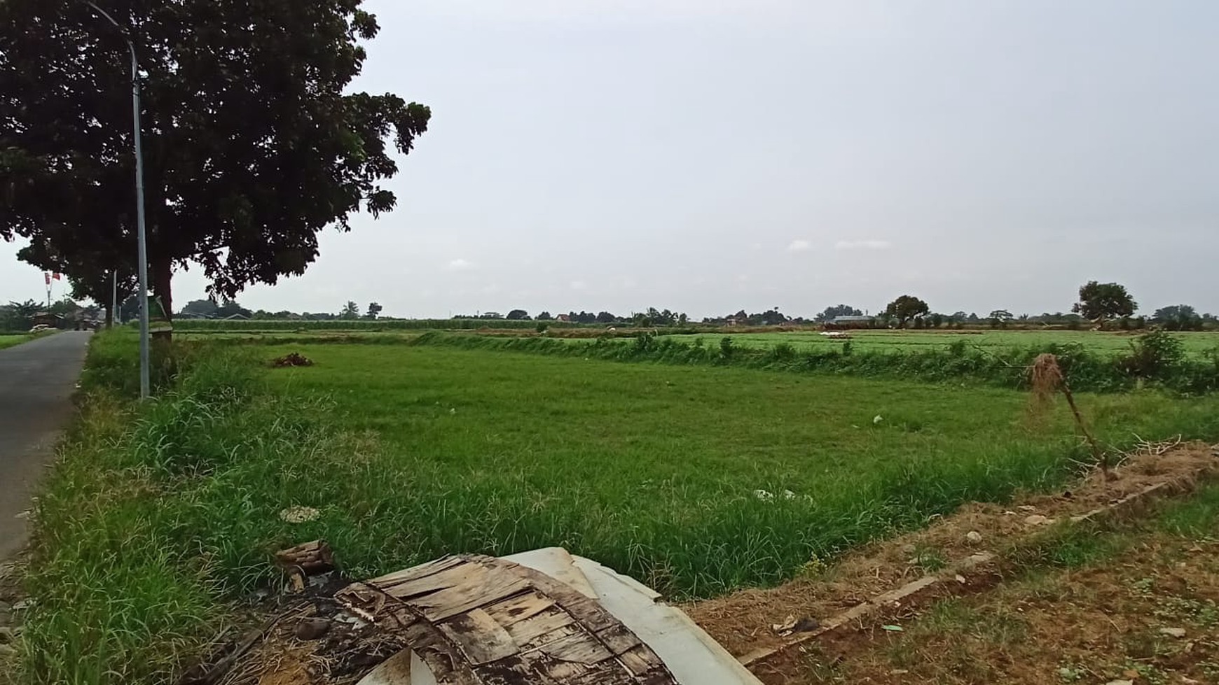 Dijual Tanah Murah Pinggir Jalan Raya Di Kp. Sawah 