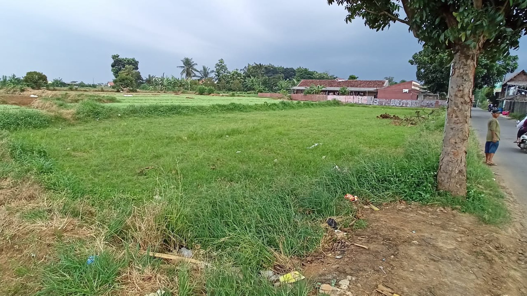 Dijual Tanah Murah Pinggir Jalan Raya Di Kp. Sawah 