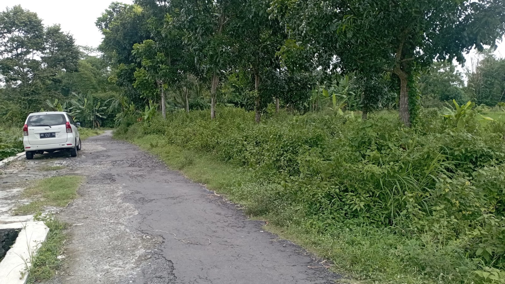 Tanah Sawah Luas 649 Meter Persegi Lokasi Selomartani Kalasan Sleman 