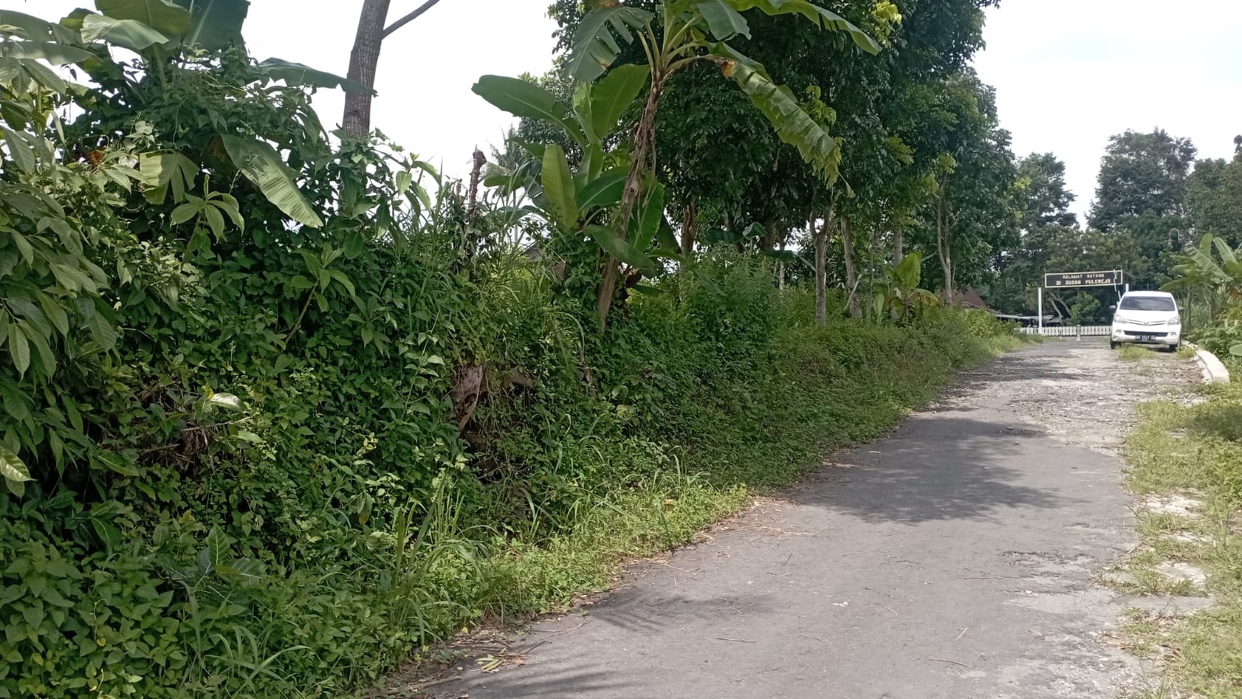 Tanah Sawah Luas 649 Meter Persegi Lokasi Selomartani Kalasan Sleman 