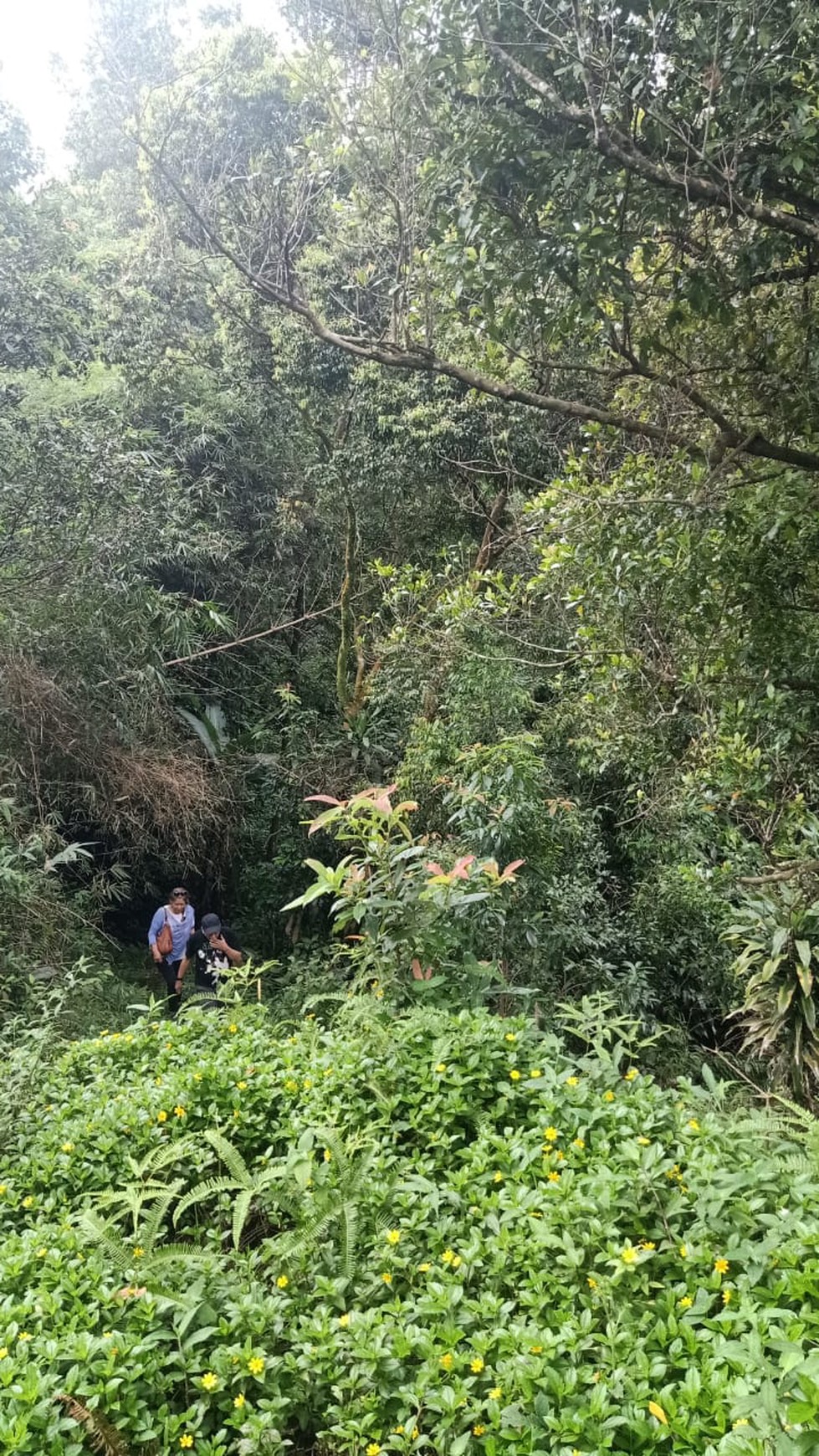 DI JUAL LAHAN DITENGAH KEBUN YANG ASRI