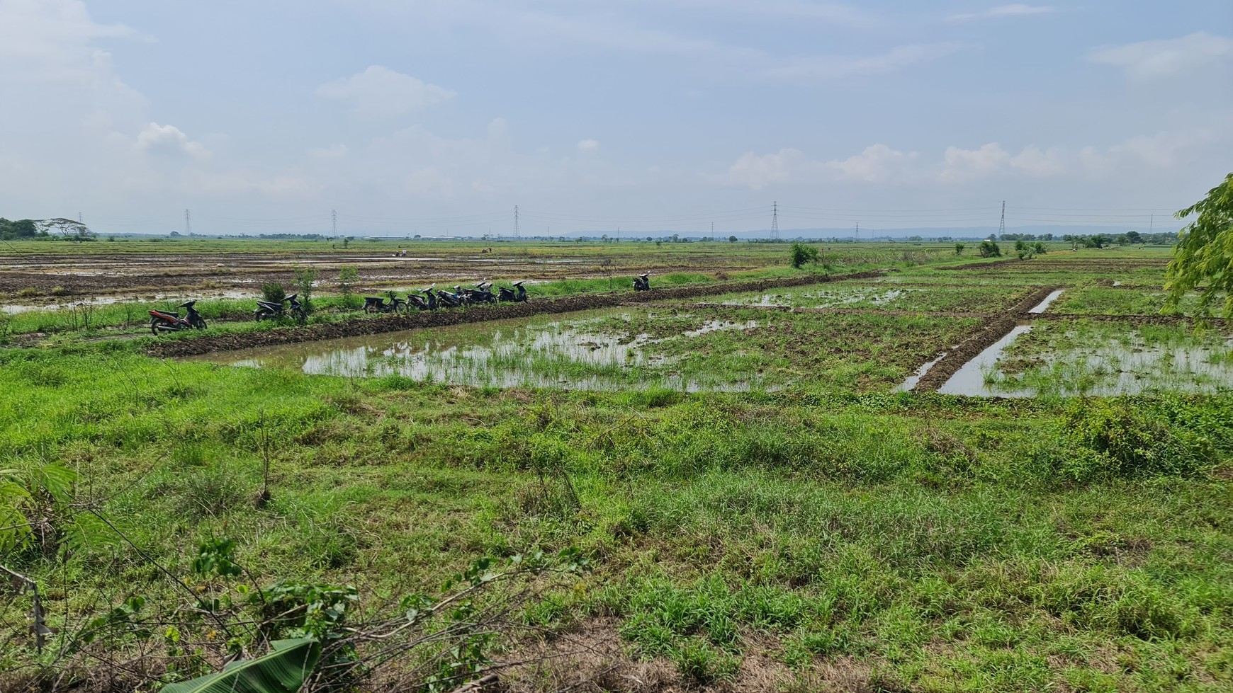 Tanah Kavling Strategis Untuk Gudang Dan Pabrik Di Rawaurip Pangenan, Cirebon