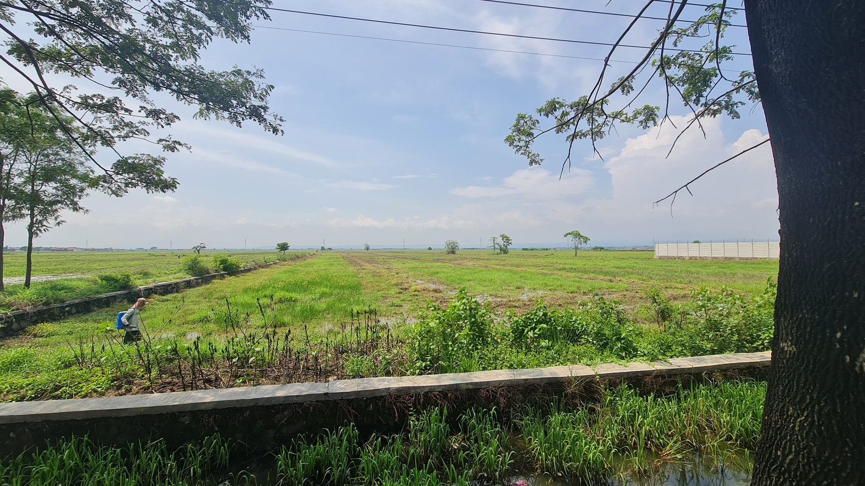 Tanah Kavling Strategis Untuk Gudang Dan Pabrik Di Rawaurip Pangenan, Cirebon