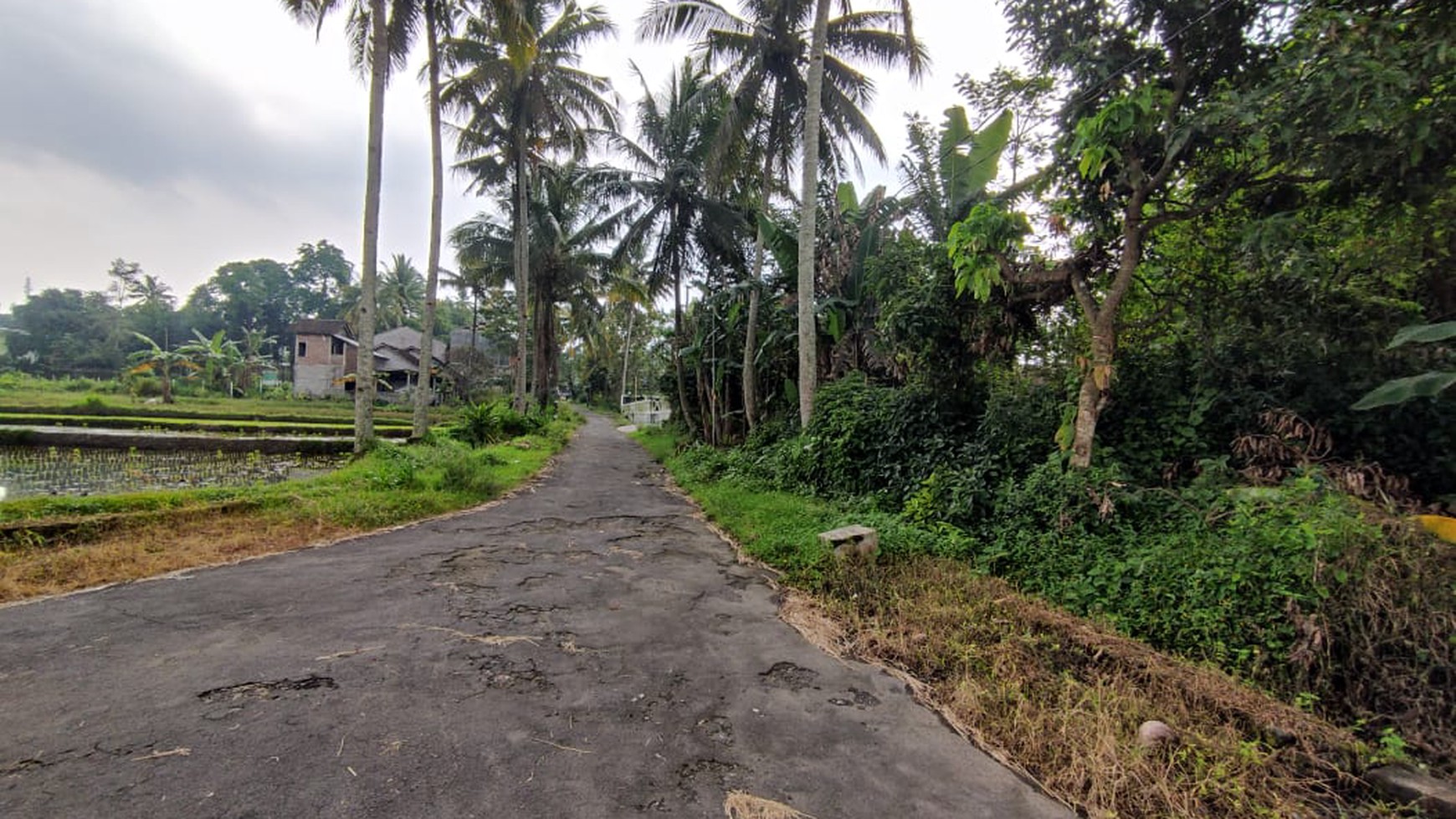 Tanah Pekrangan 866 Meter Persegi Selatan Kopi Klotok Sleman