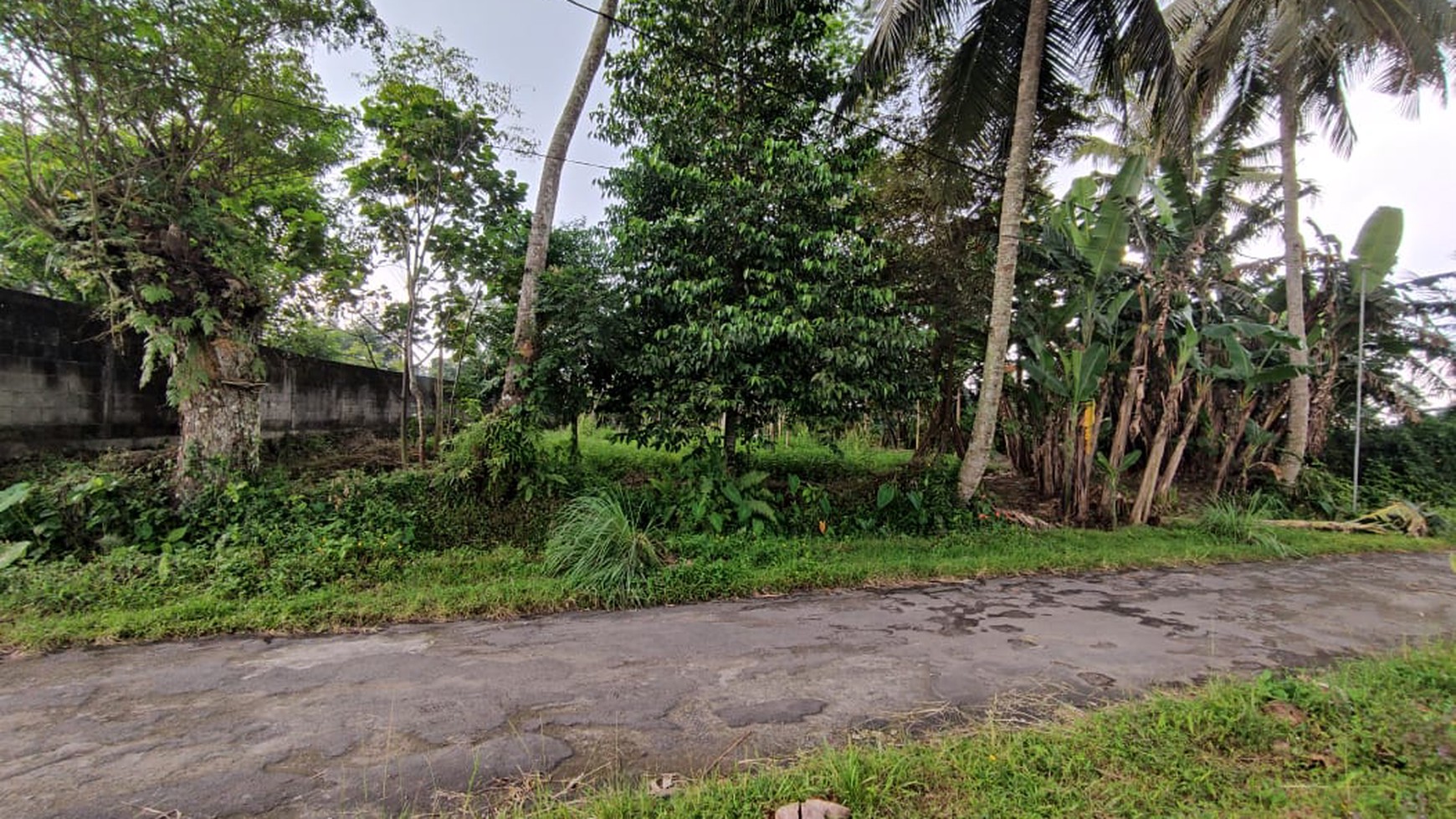 Tanah Pekrangan 866 Meter Persegi Selatan Kopi Klotok Sleman